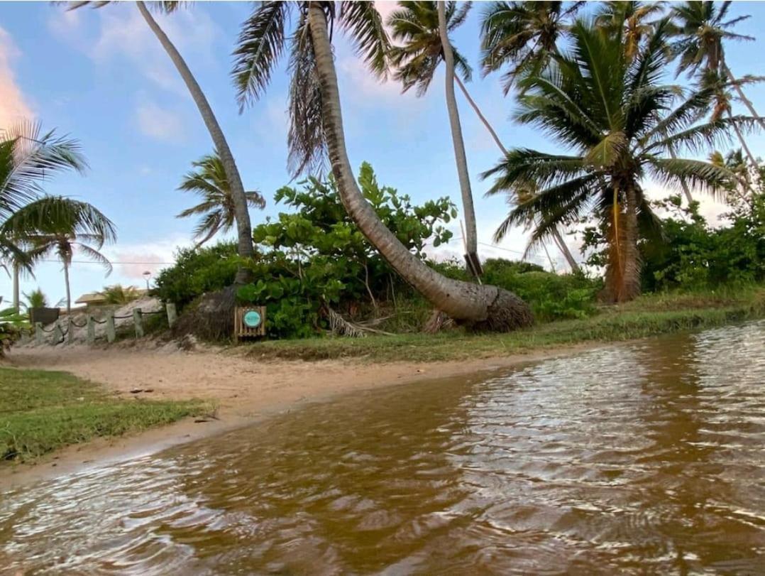 Maravilhoso Garden Imbassai Pe Na Areia Bahia Litoral Apartamento Exterior foto